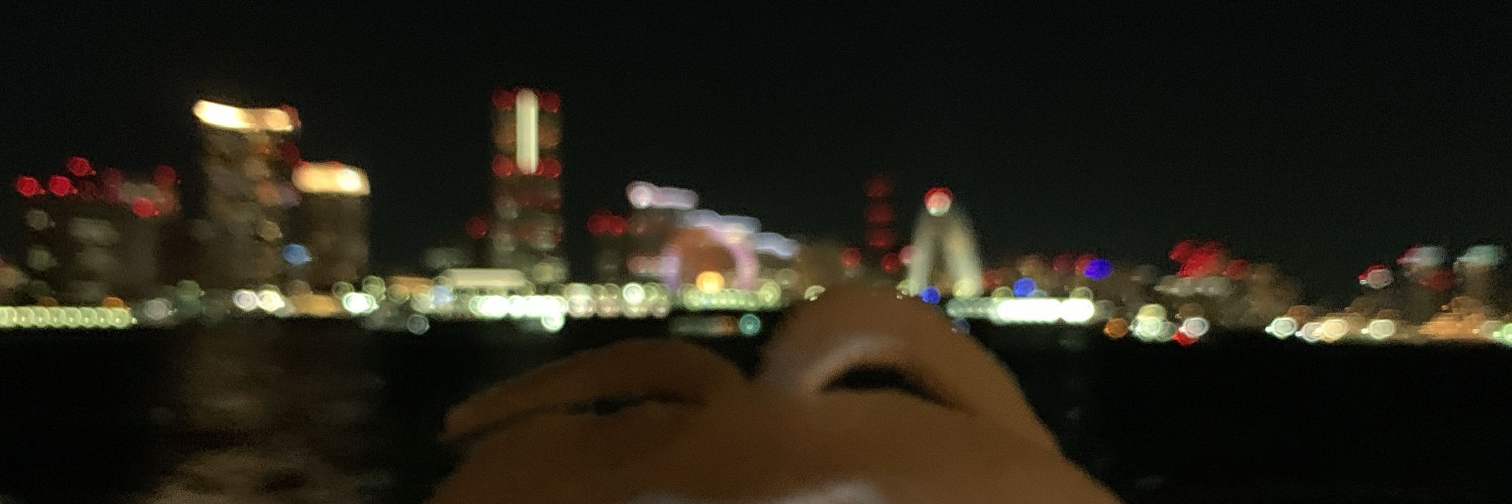 無気力パンダ🐼