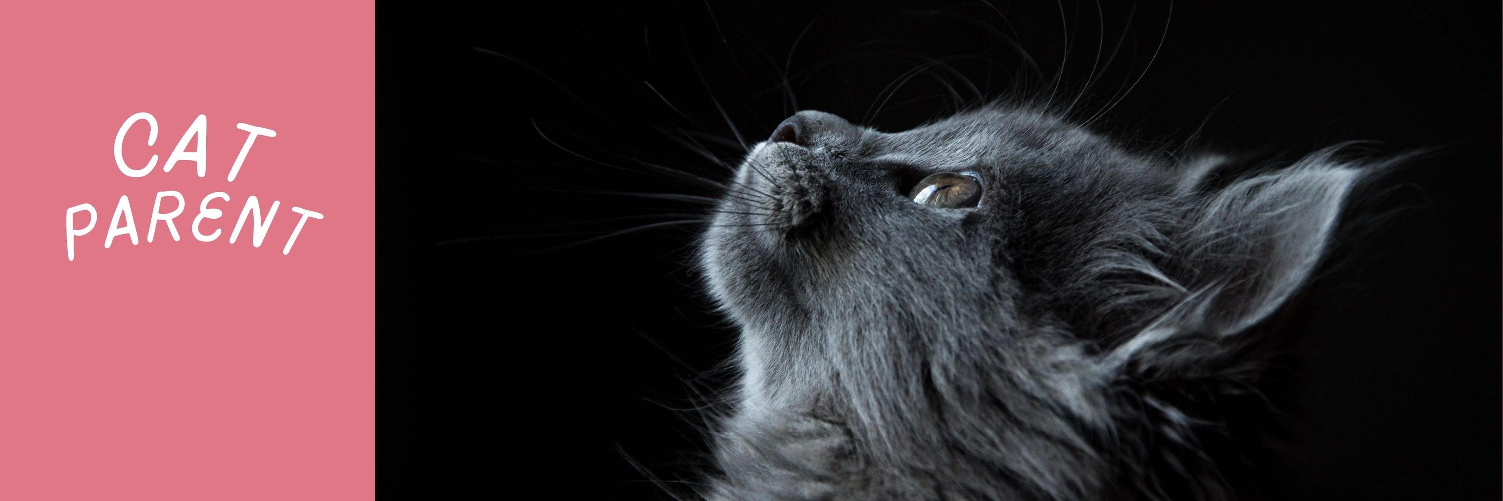 Catsmother