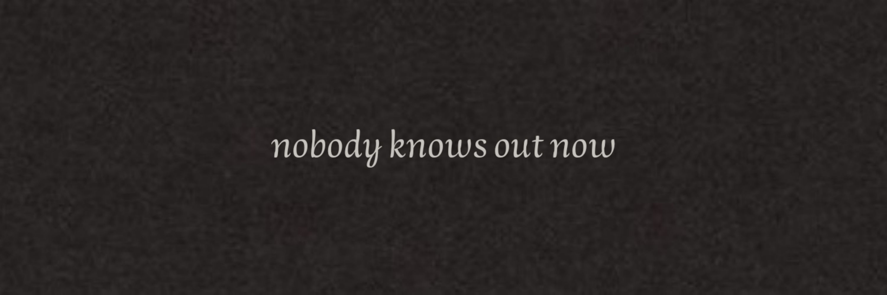 Laura · "Shawn" the album, 11.15