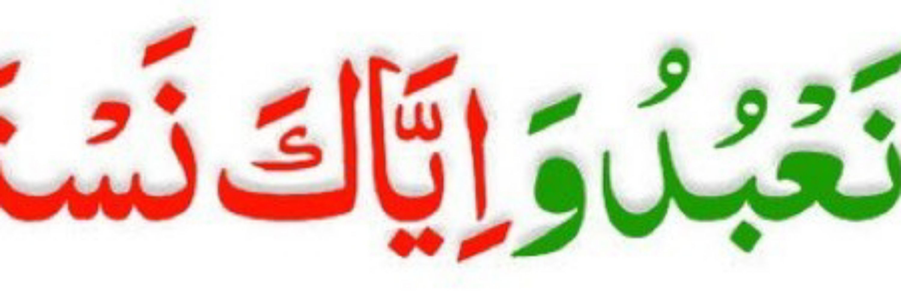 jutt 80