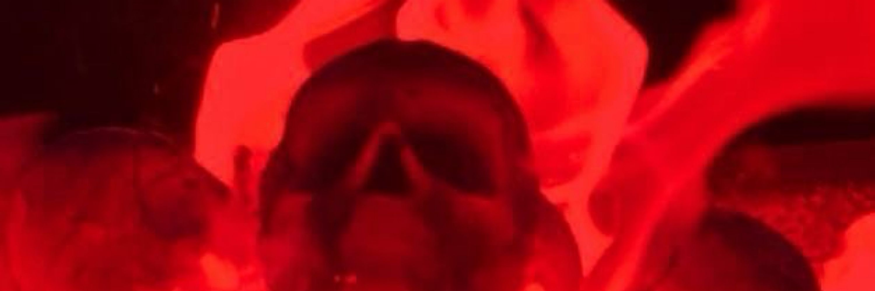 🦇𝐒𝐜𝐚𝐫🦇