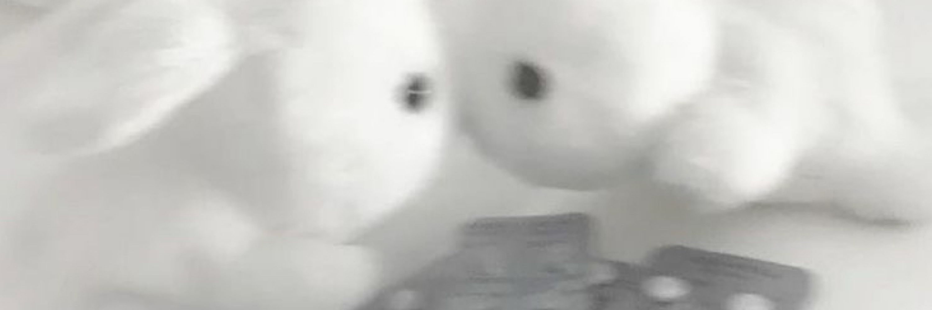 ゆり໒꒱‪‪𓂃 𓈒𓏸◌‬