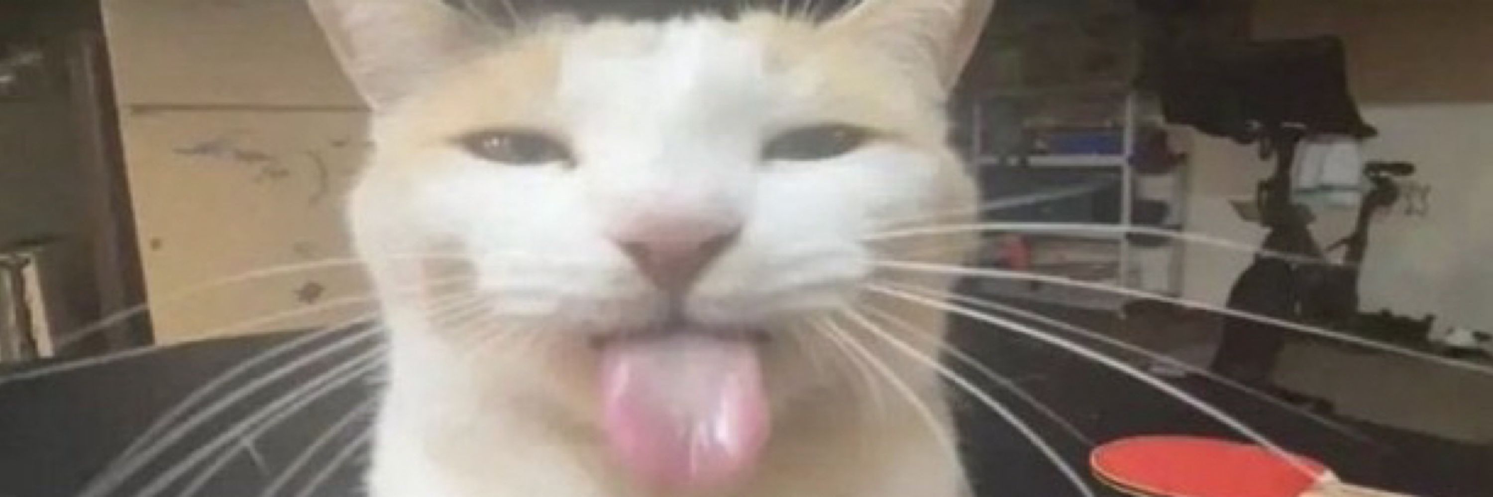✬ 𝐿𝑒𝓋𝒾 ✬