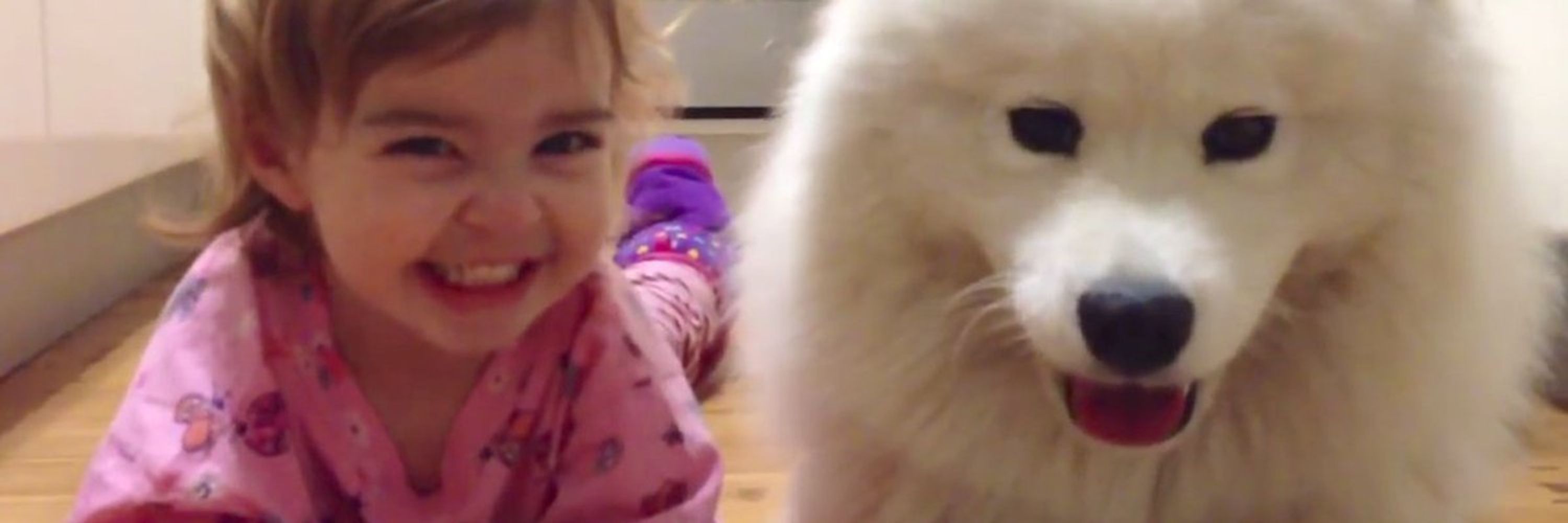 A Song of Babies and Puppys