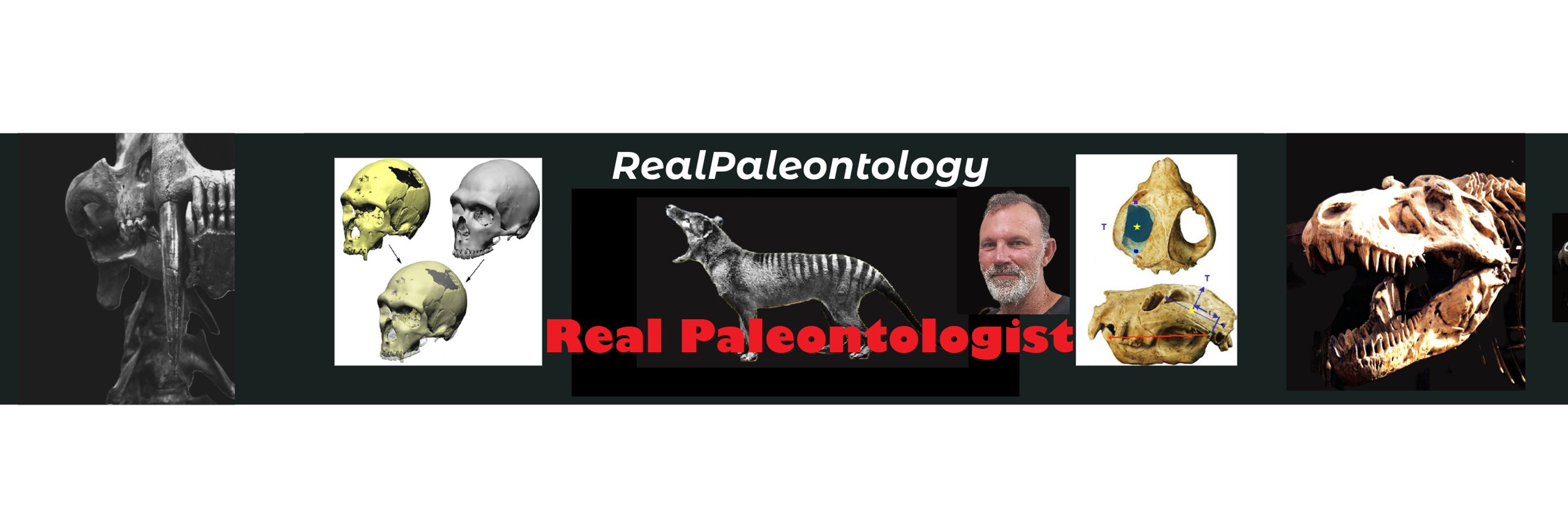 Prof Steve Wroe