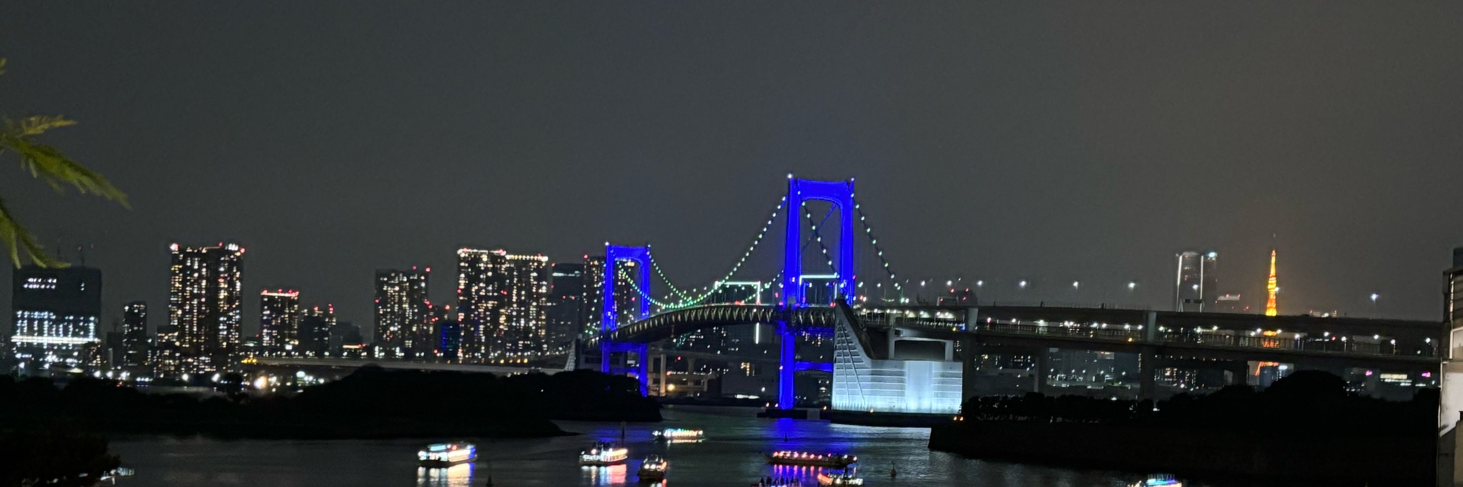 こねぎ