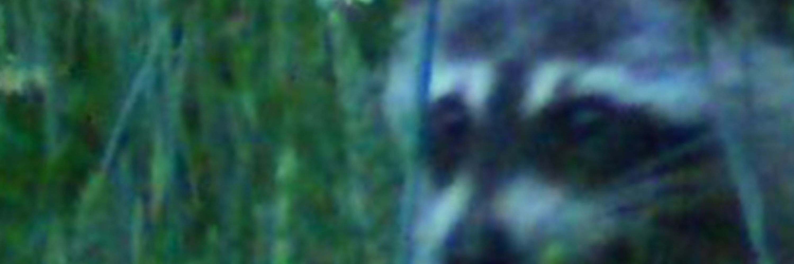soren