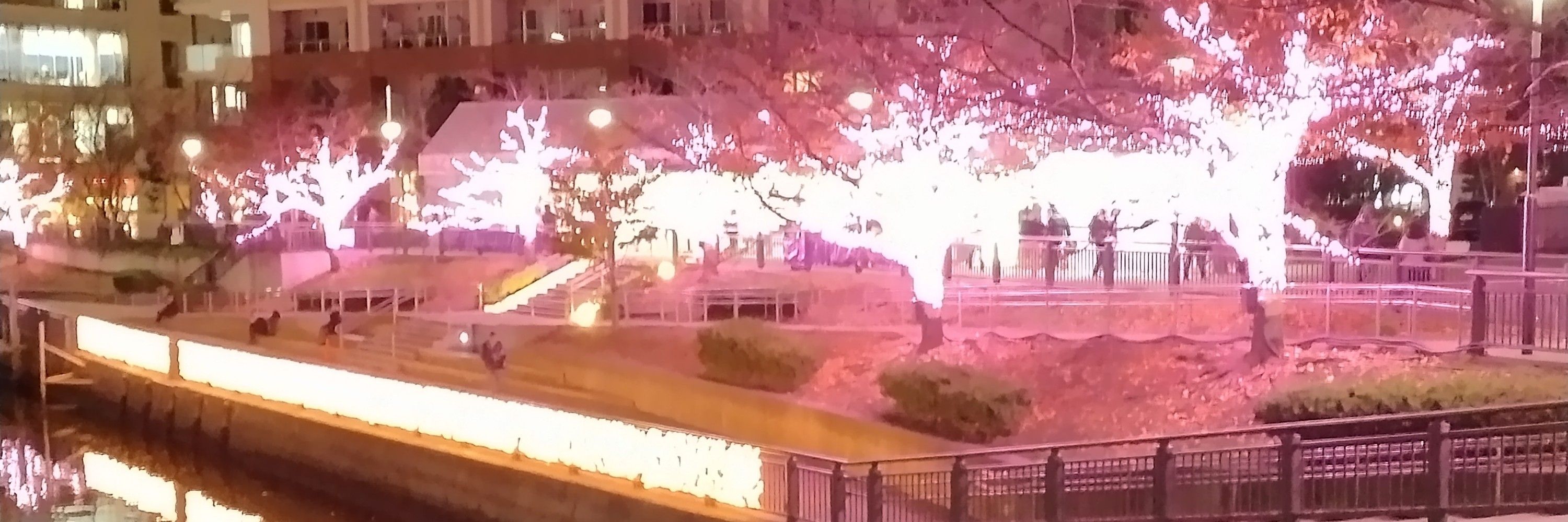 しーぜる