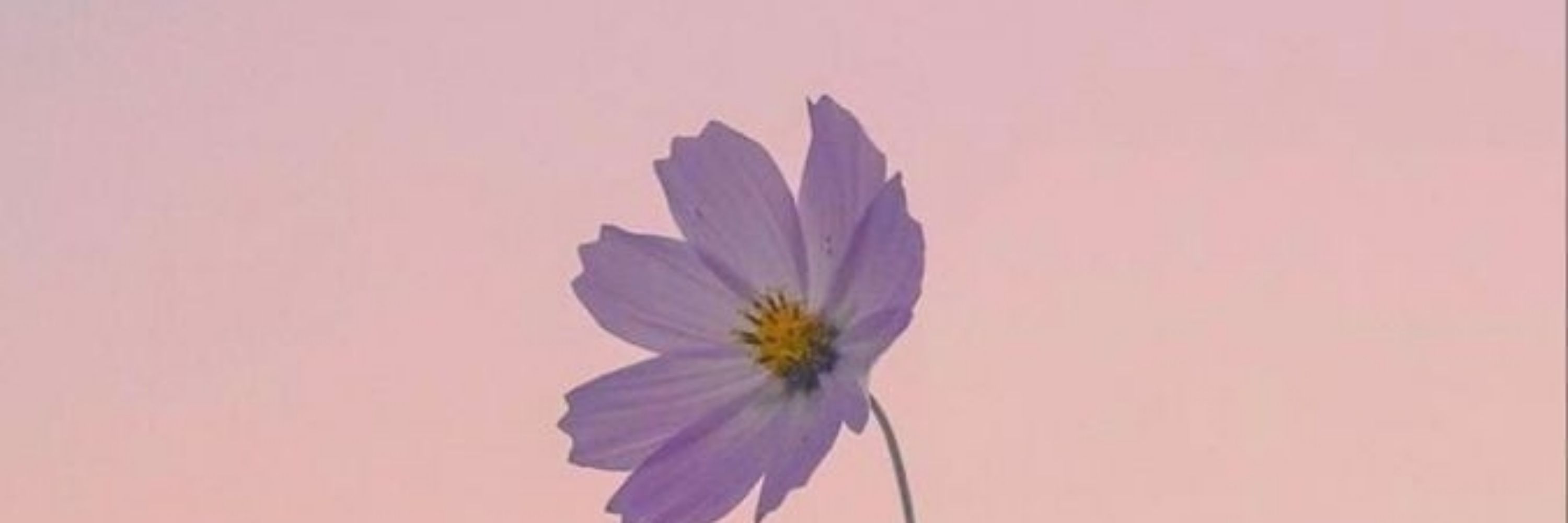 M~🌻