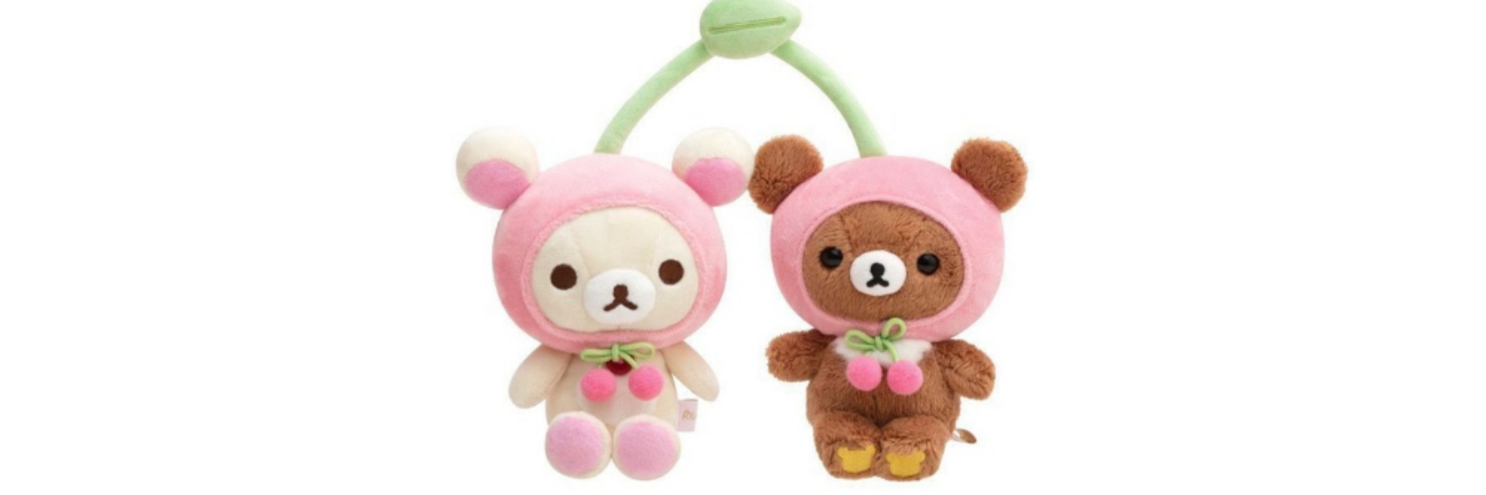 archive chankai 🐻🍒