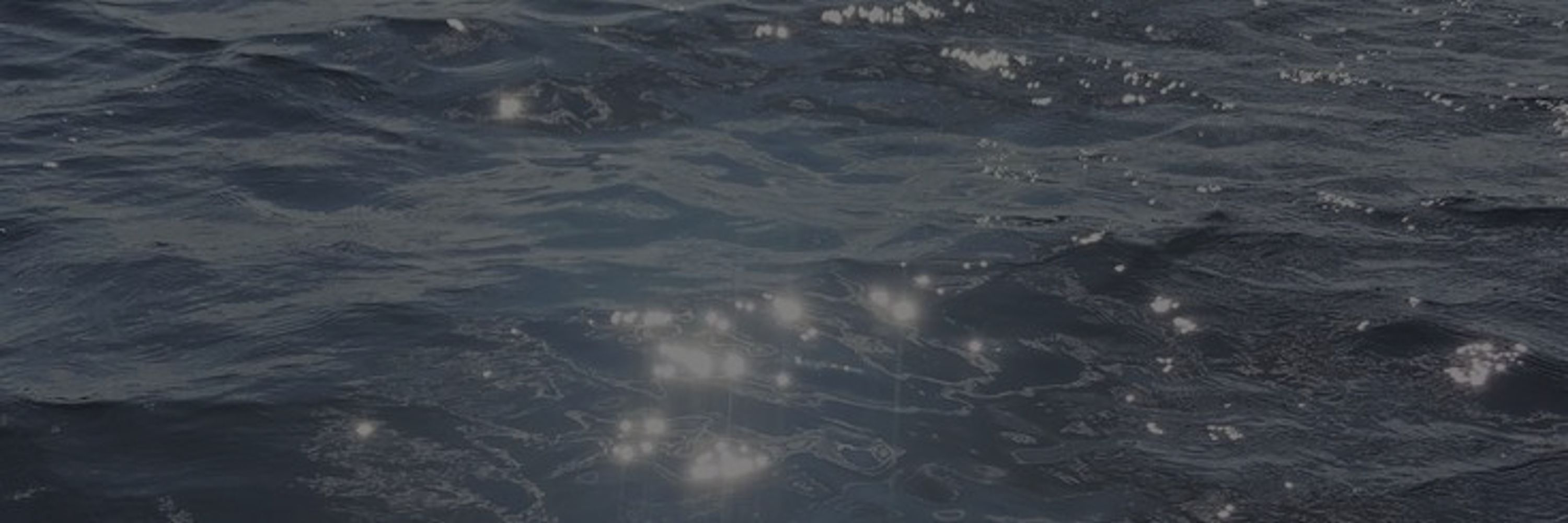 ੈ✩‧₊˚ 