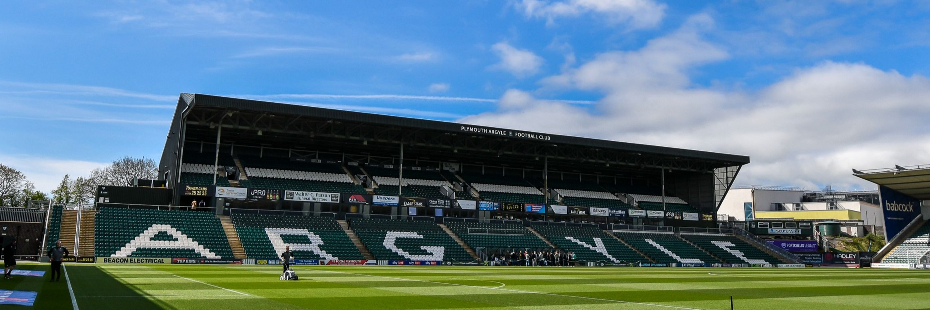 The Argyle Analyst