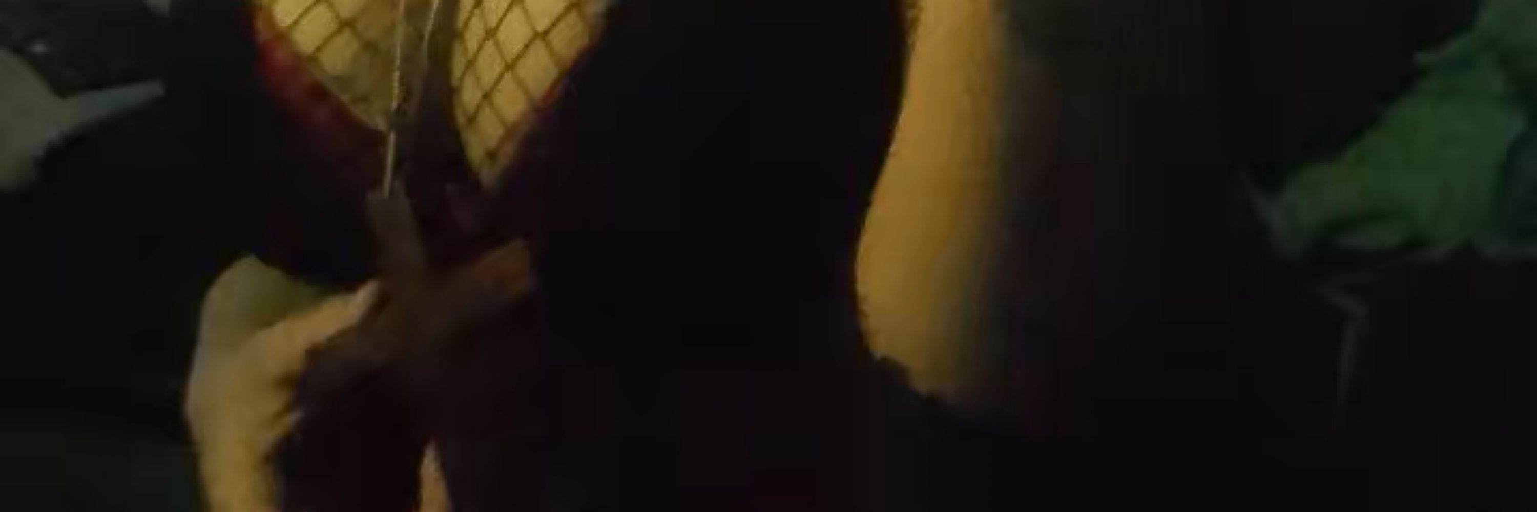 Isa 