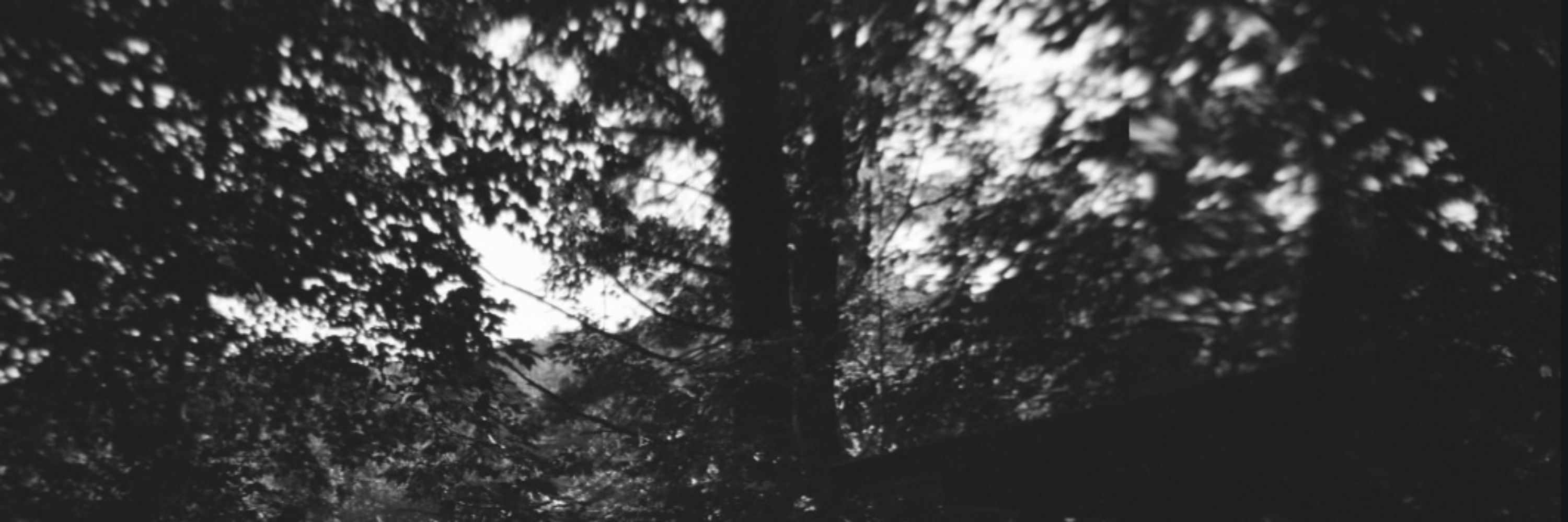 Geist