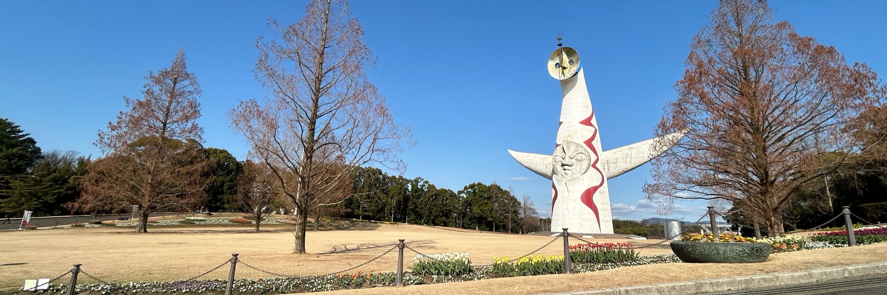 柘植 新八