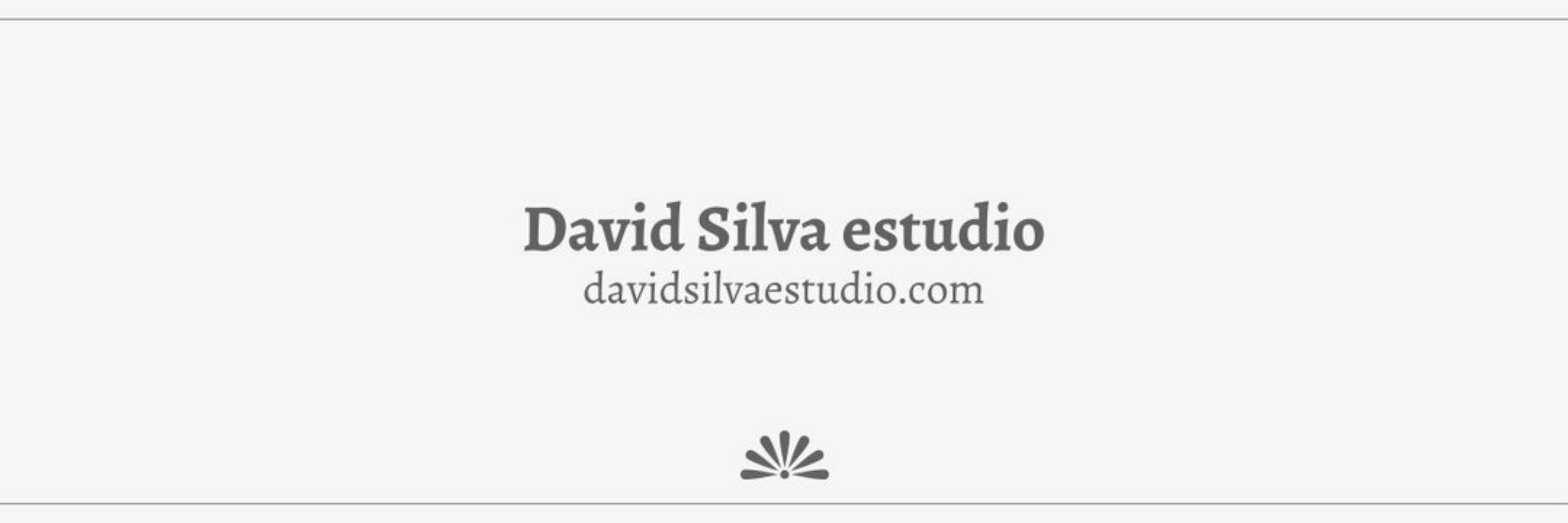 David Silva estudio