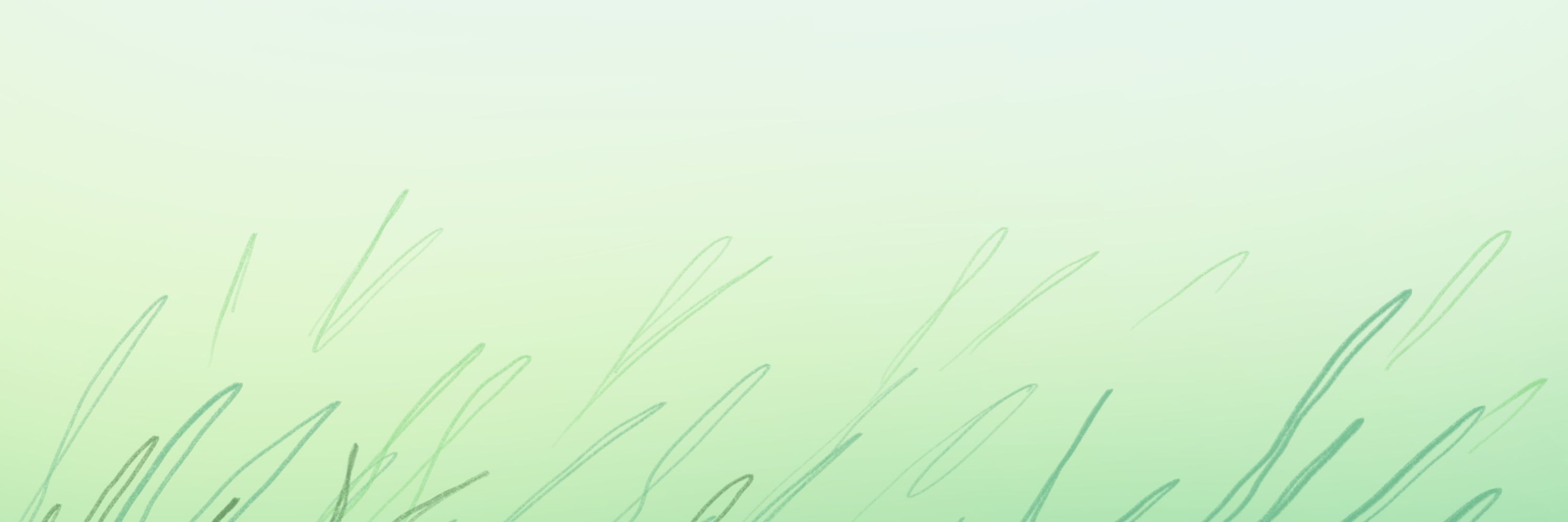 Profile banner