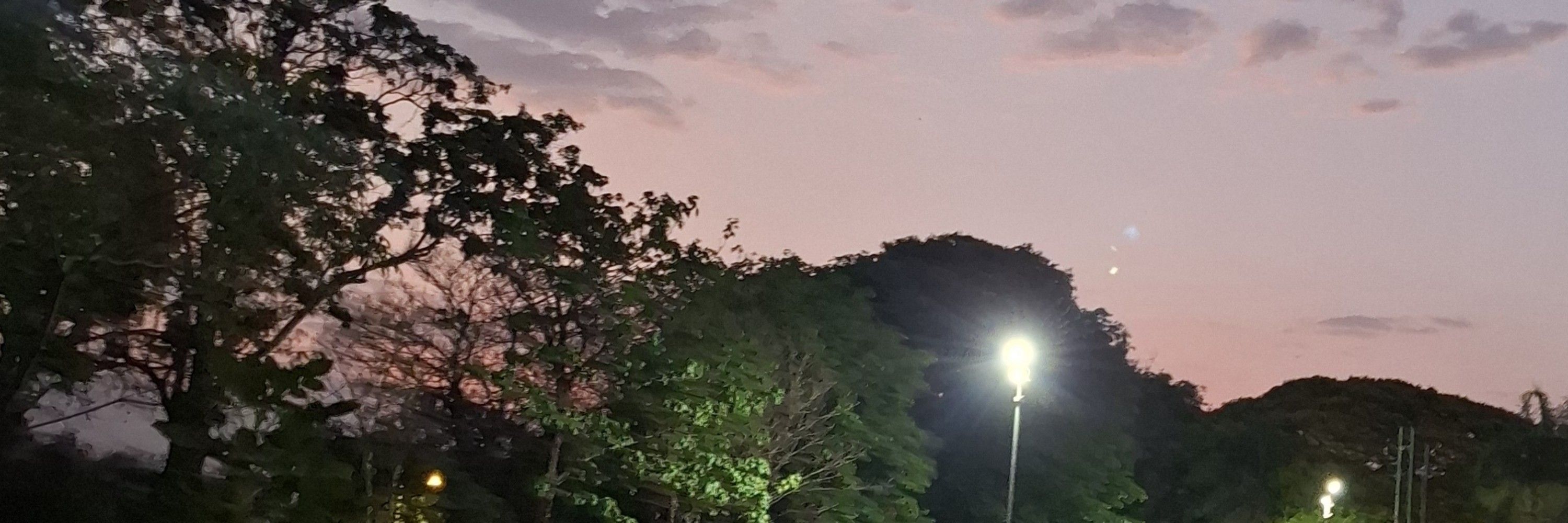 ∁ª