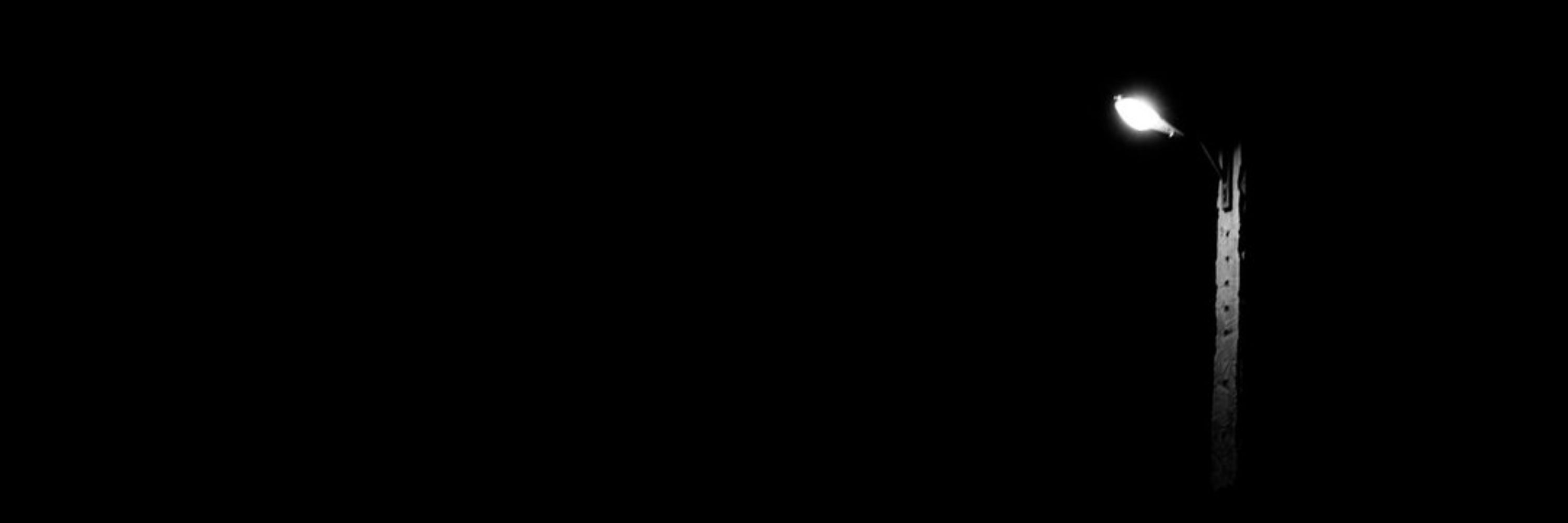 mohii