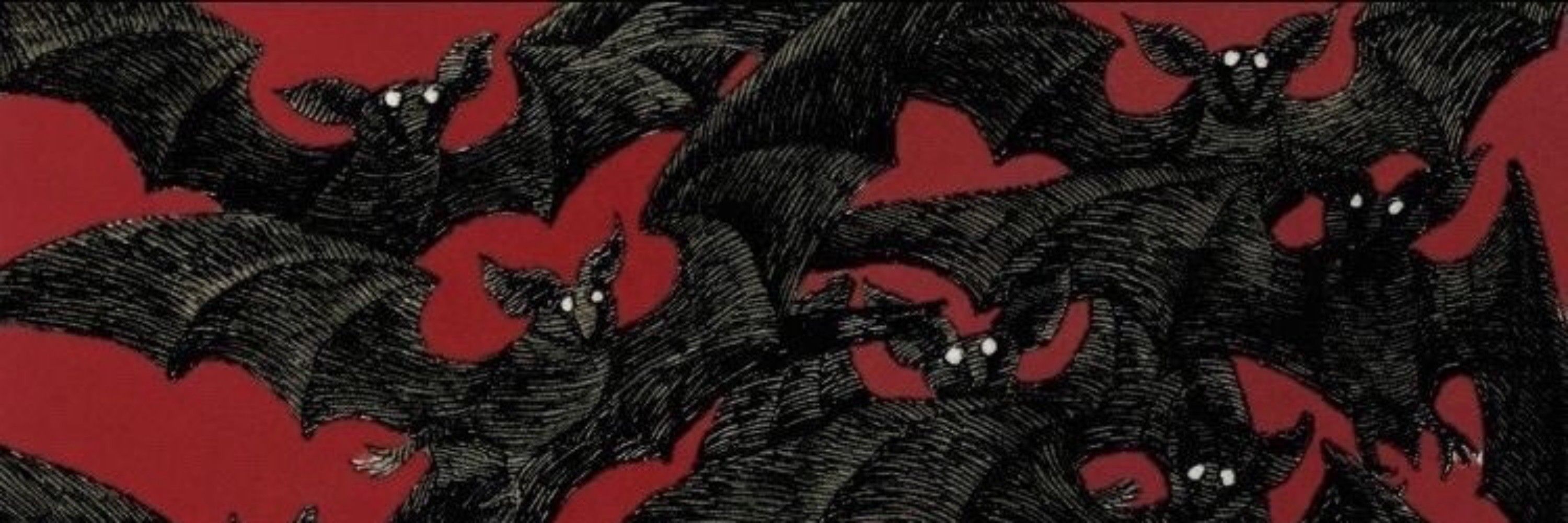 𝖛𝖆𝖒𝖕𝖎𝖗𝖆 do feiraguay 🦇