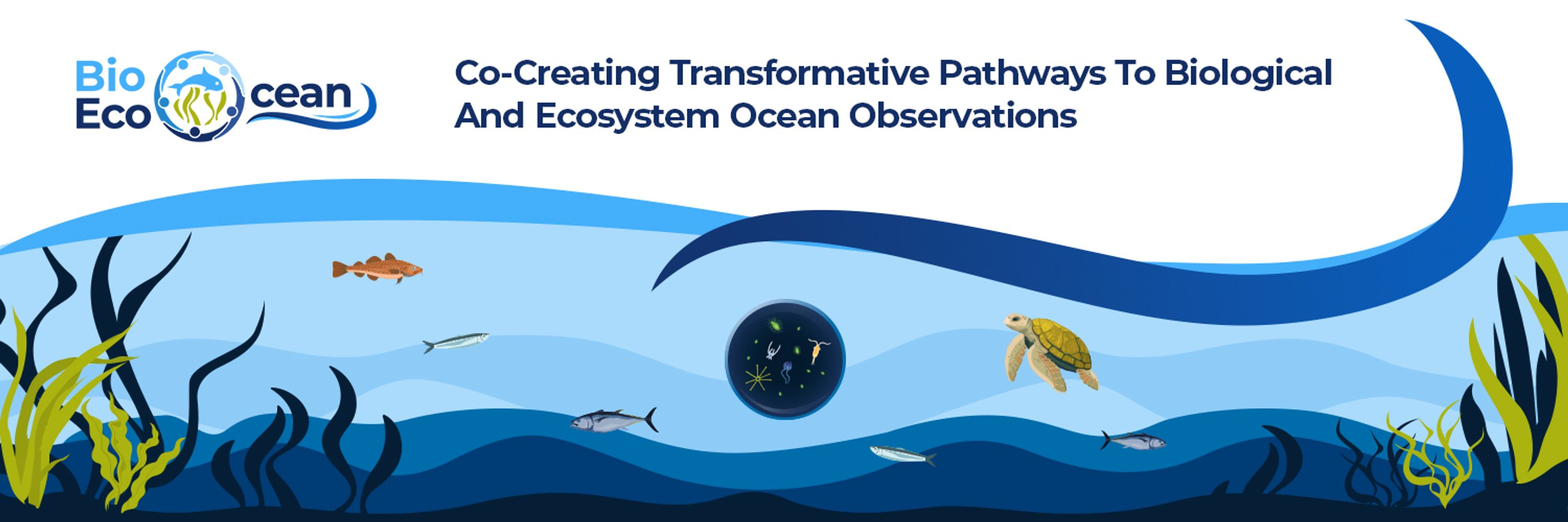 BioEcoOcean