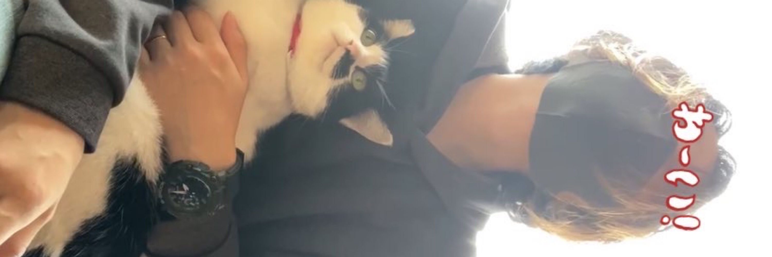 慧