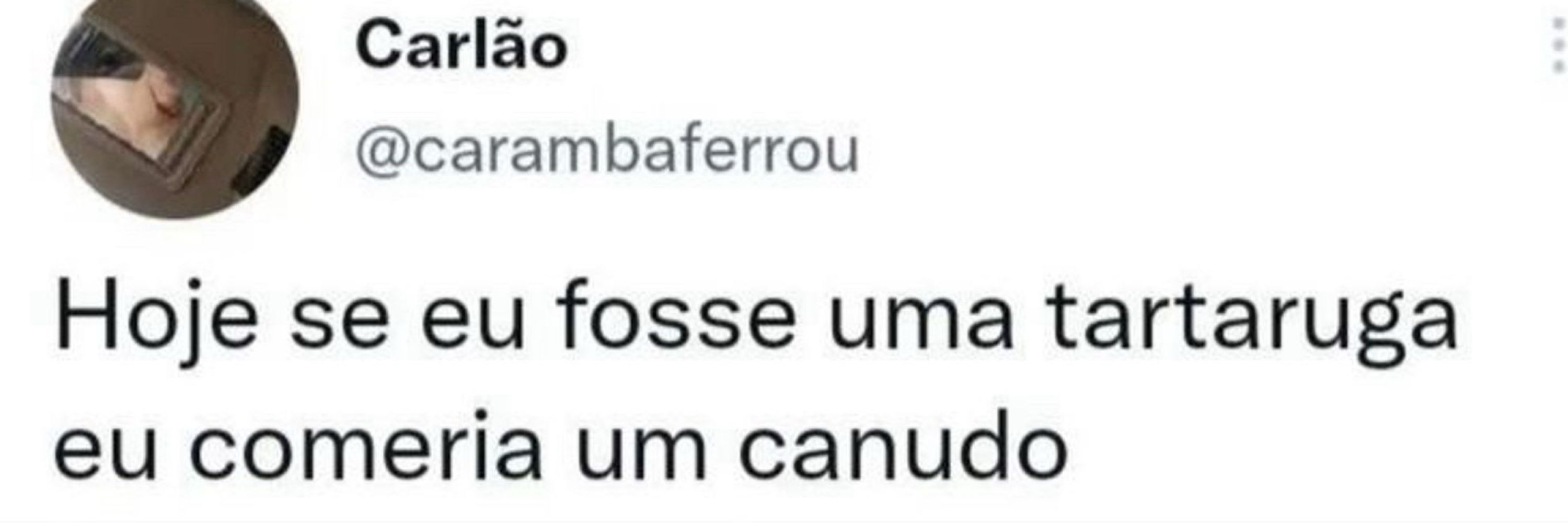 Drizoca ⚢