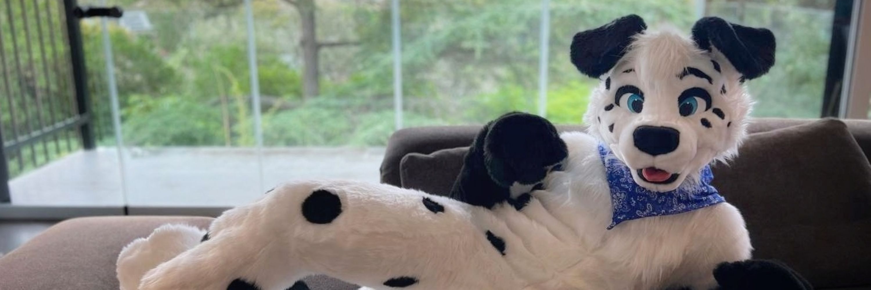 Pongo~