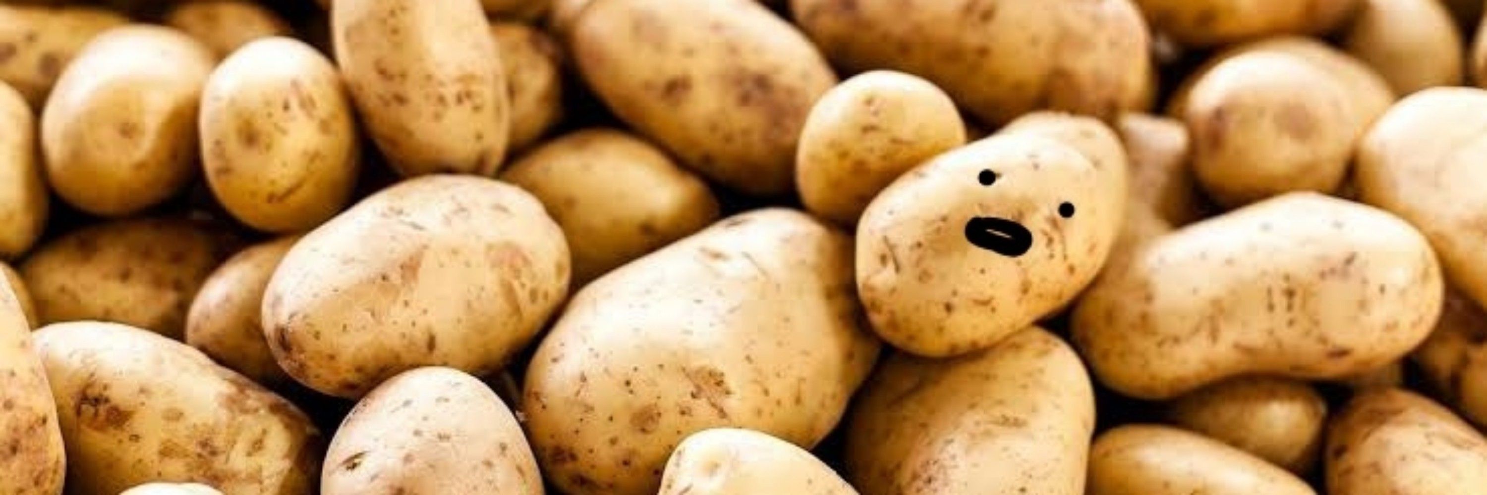 Potatohead