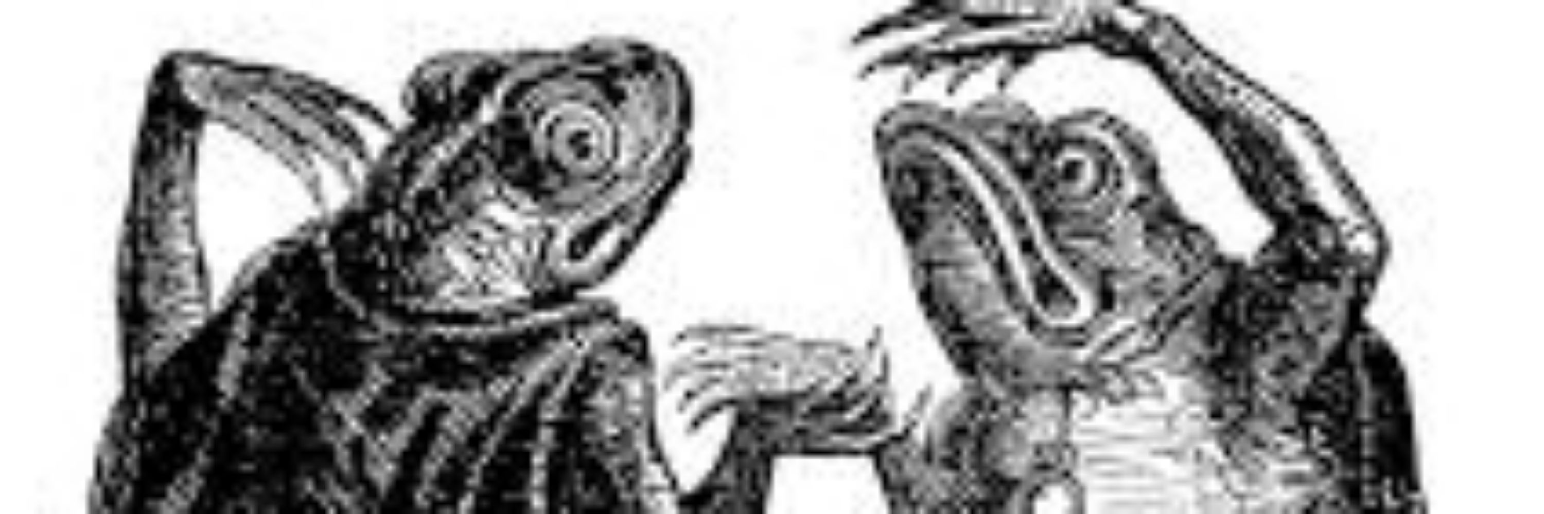 Kingfrog 