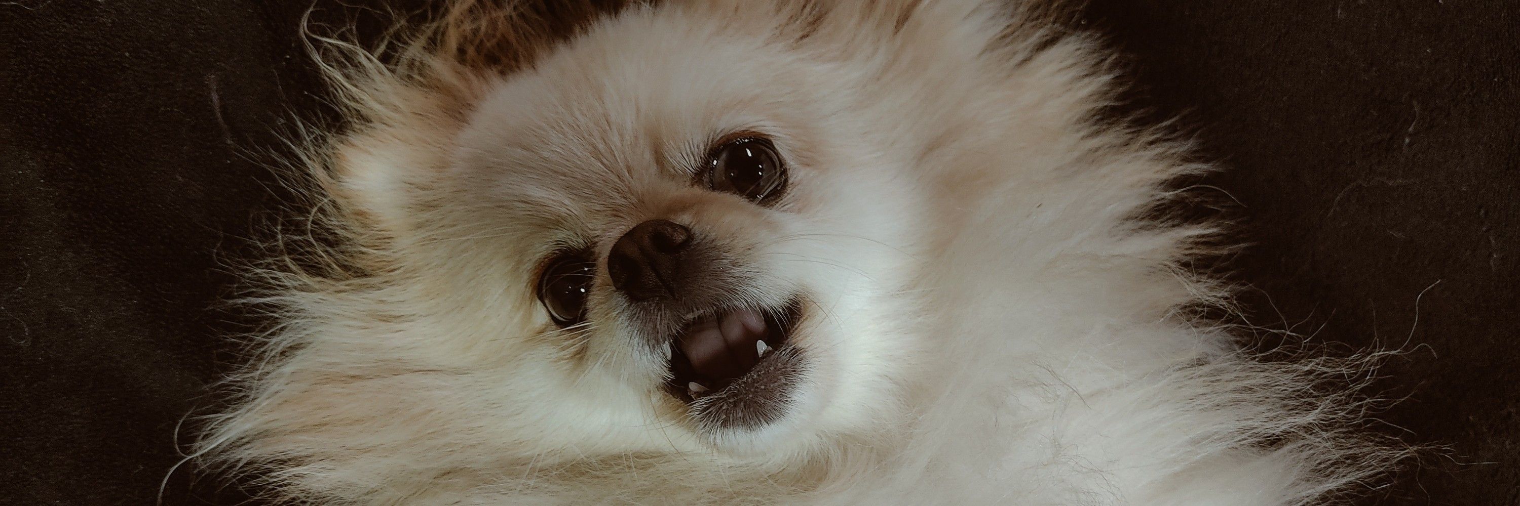 nana