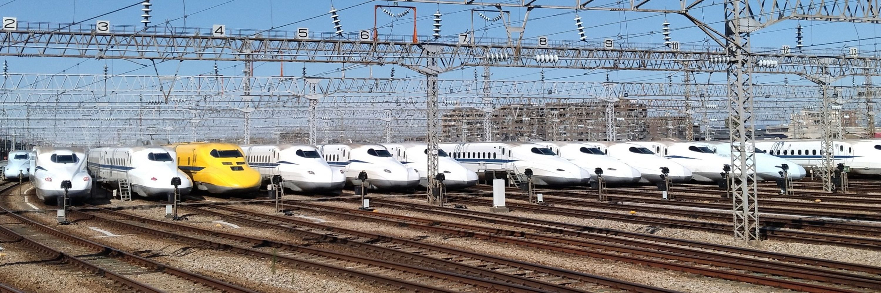 NAATA2025(本物)