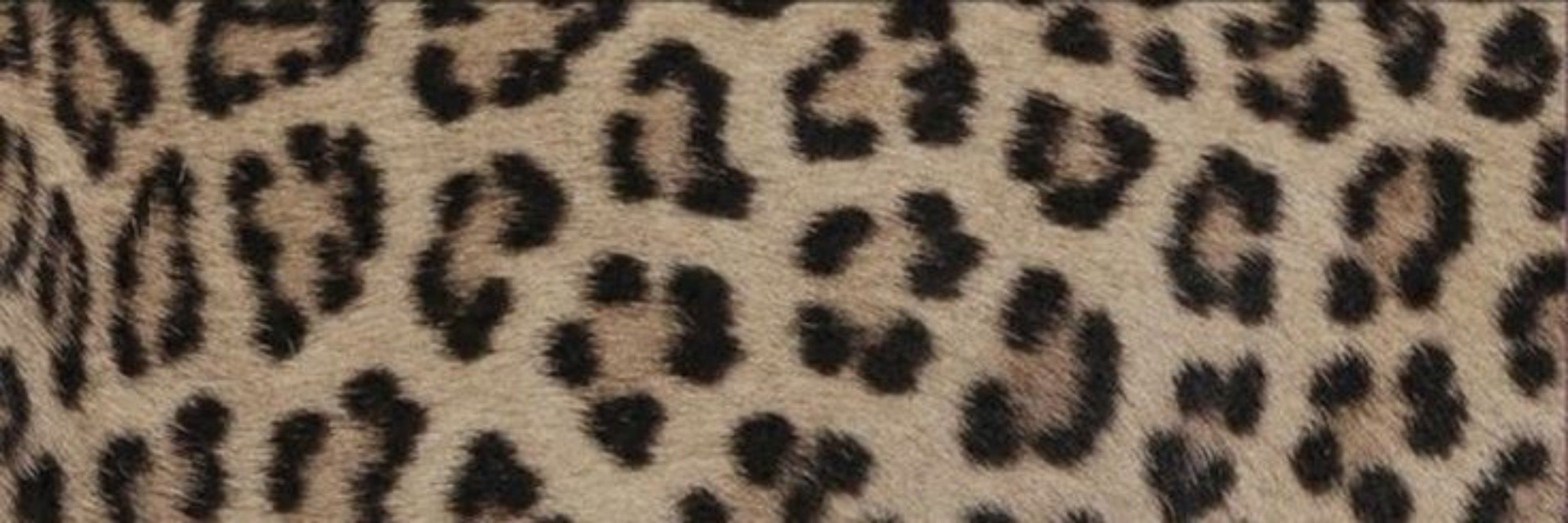 🐆