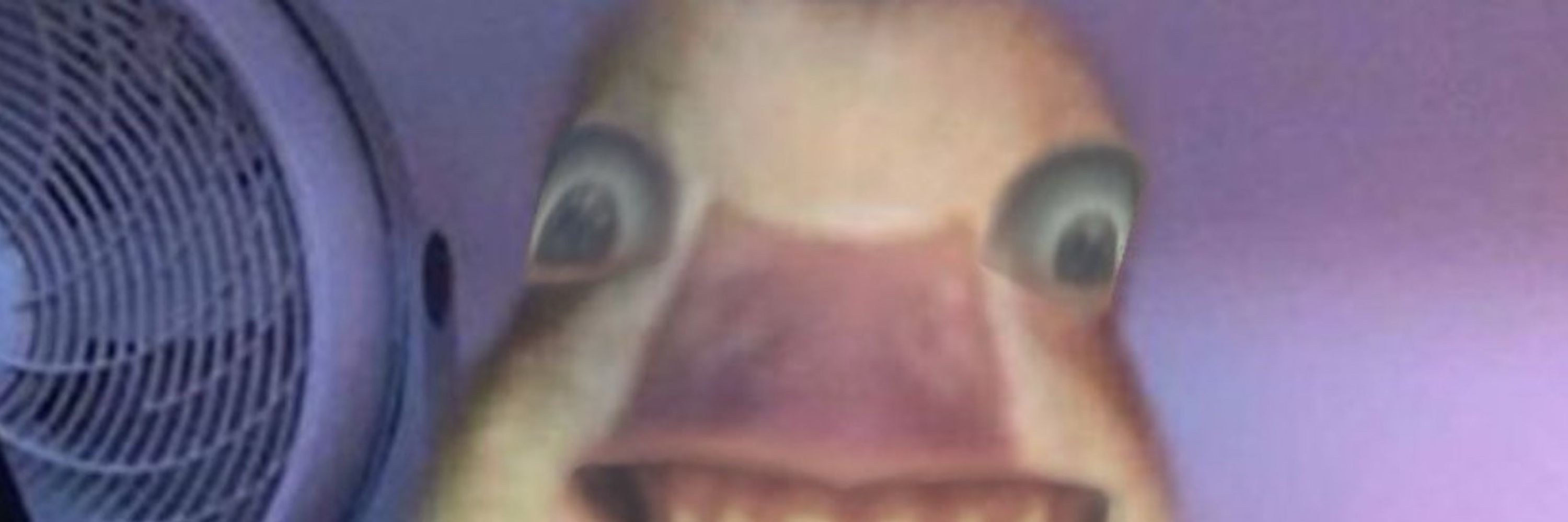 Narocha