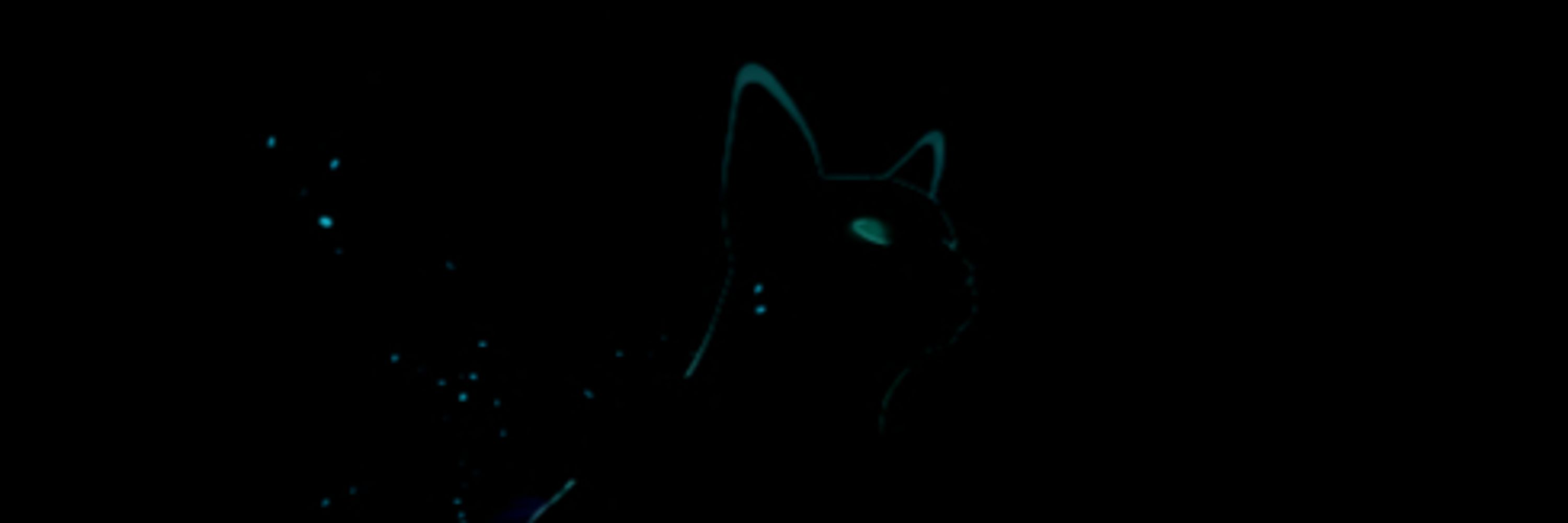 Scougs the Sainted Cat
