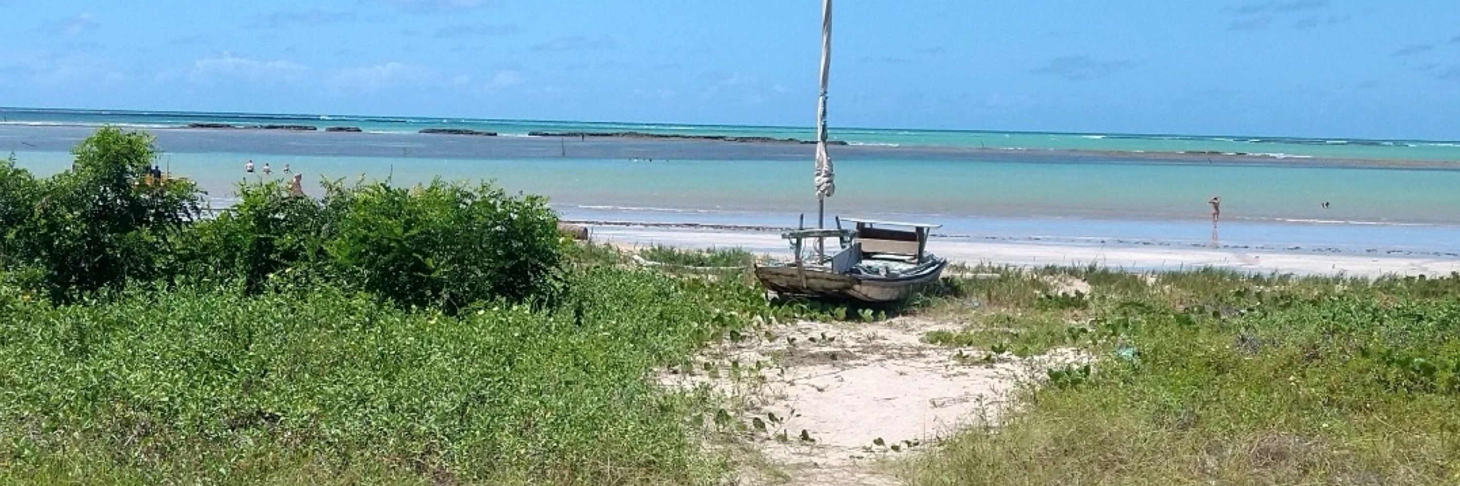 Dr. Docinho