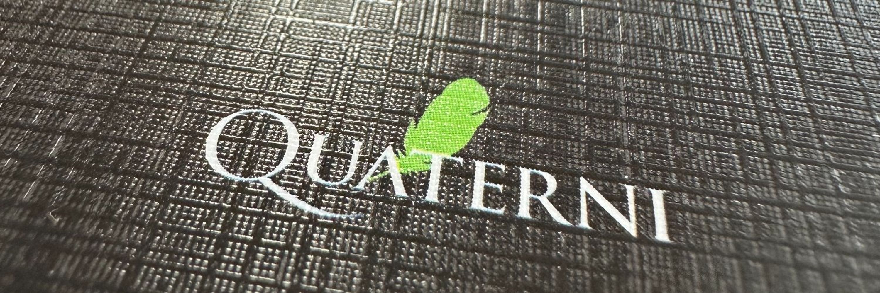 Quaterni