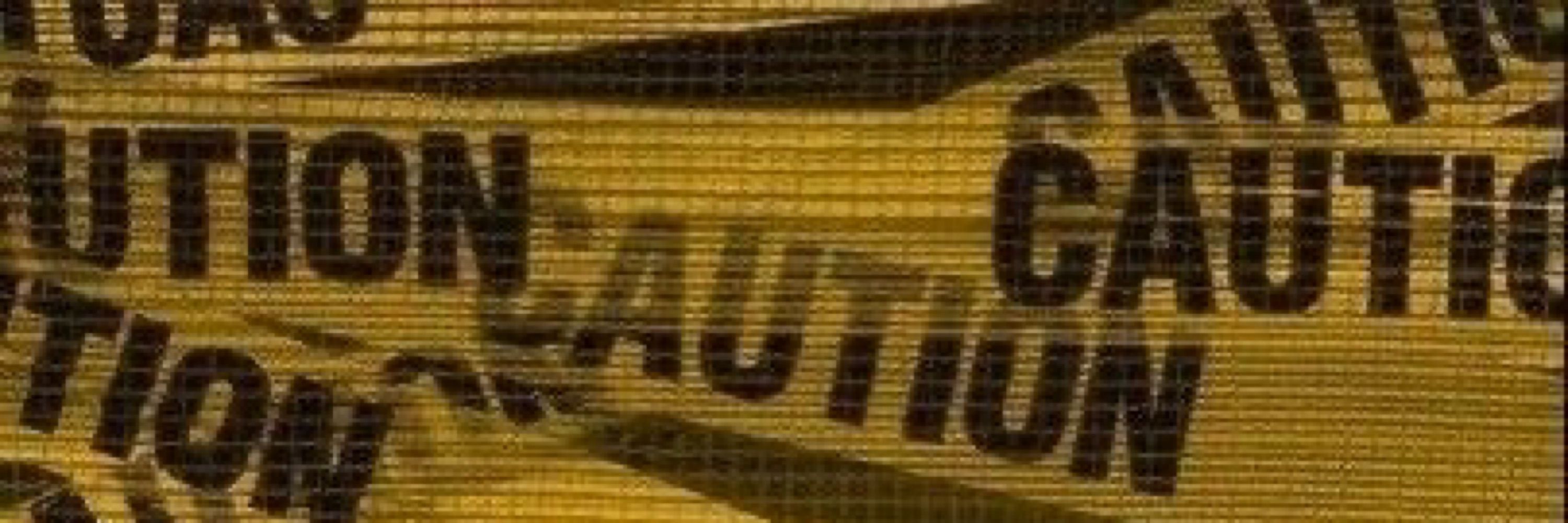 TheSerinusCalix