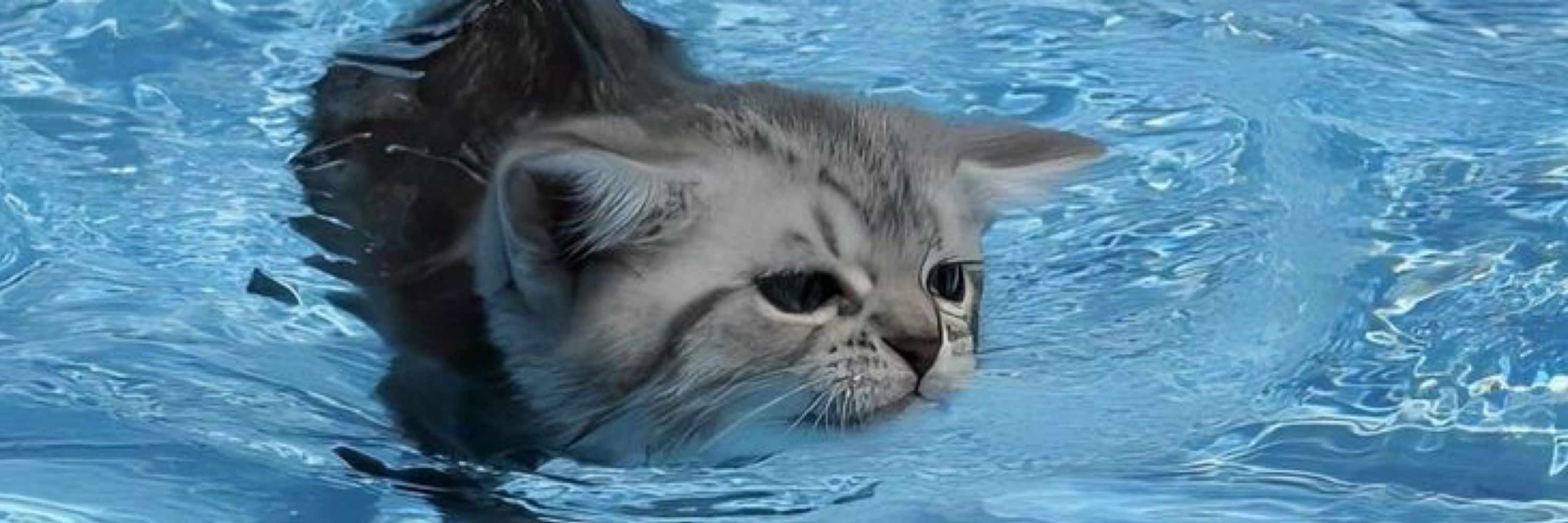 Снежана