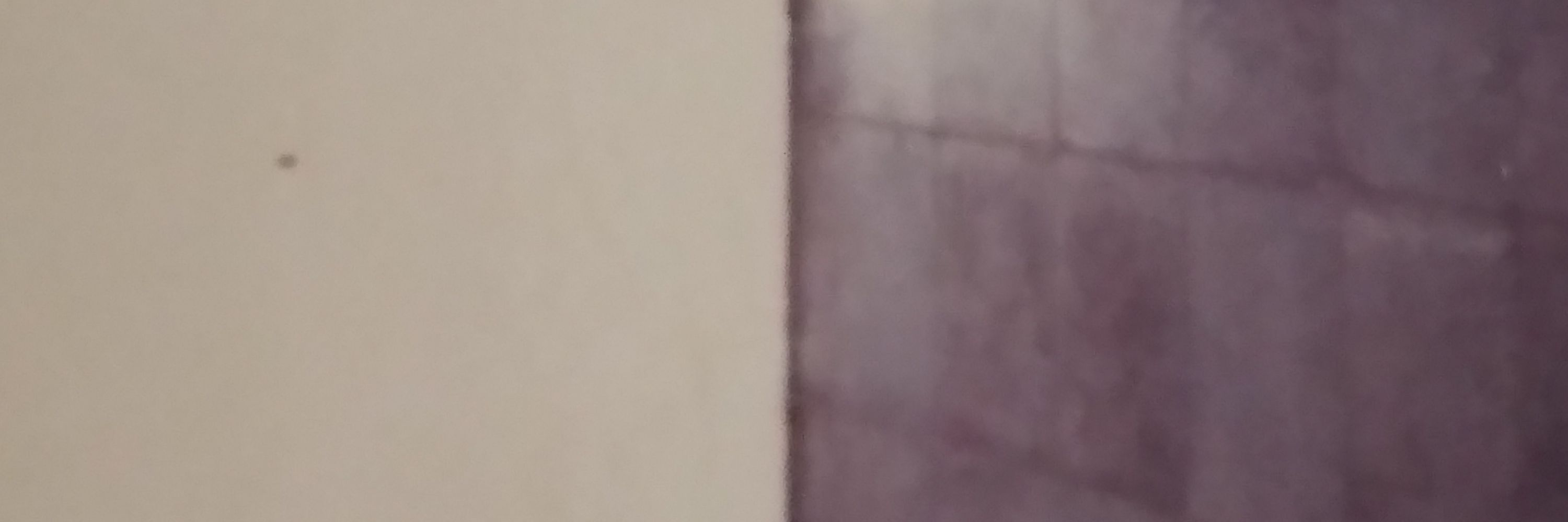 rifanarina261