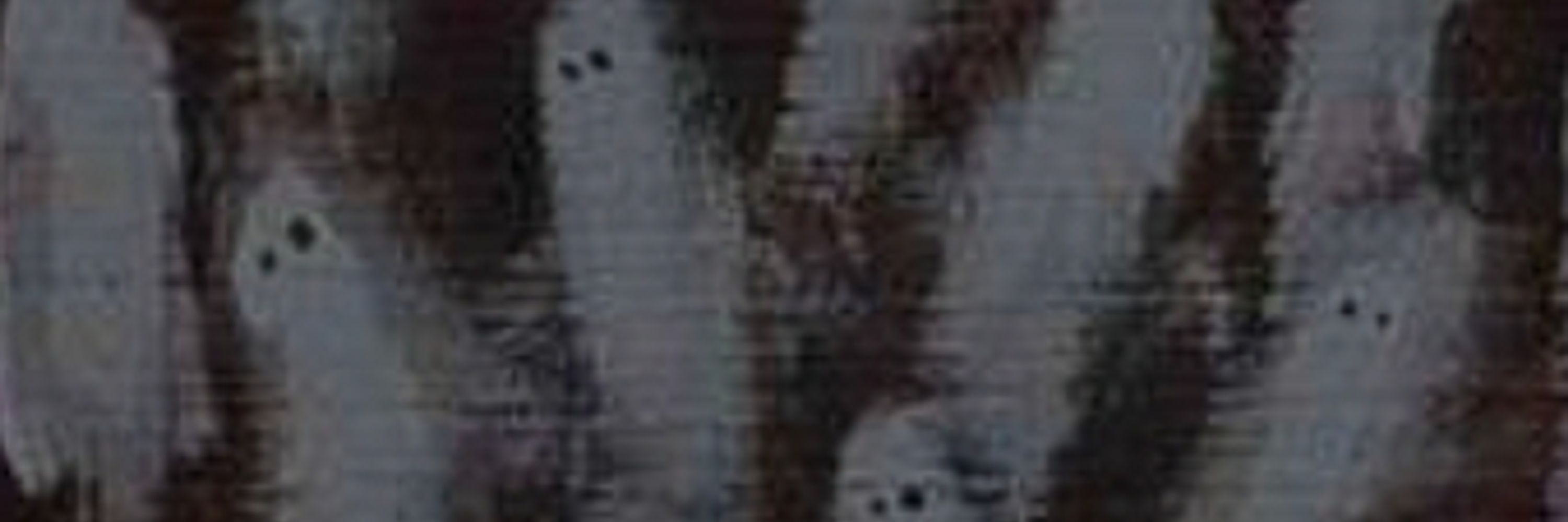 DeadMushrøømss