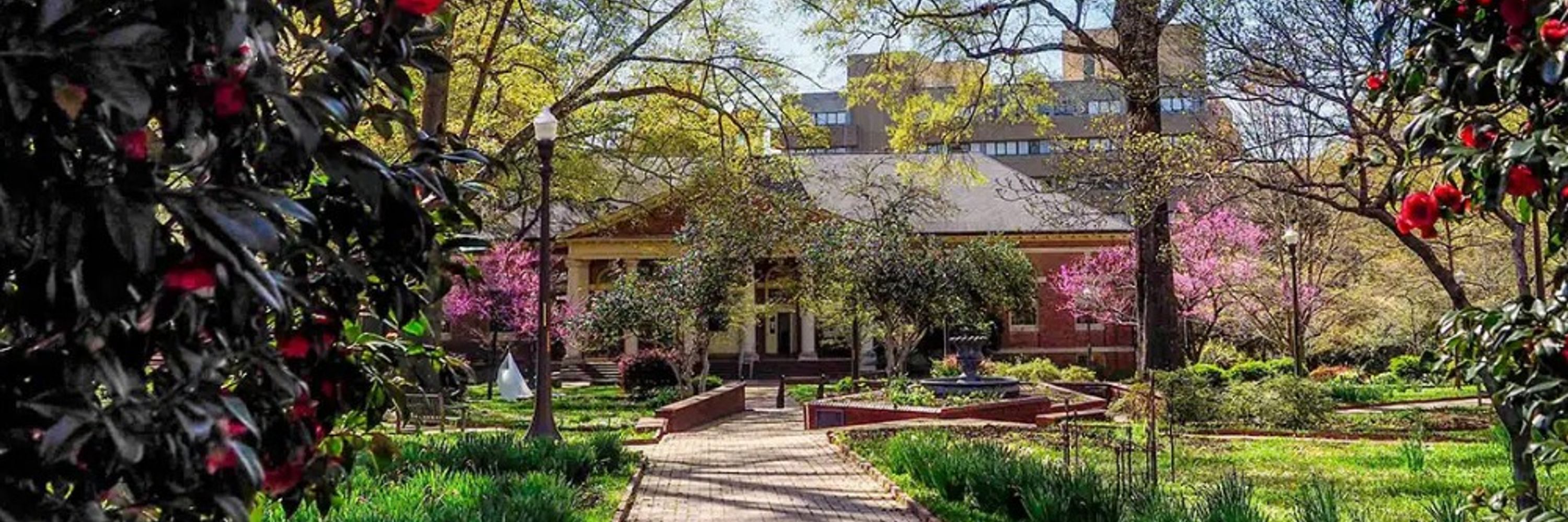 NC State University
