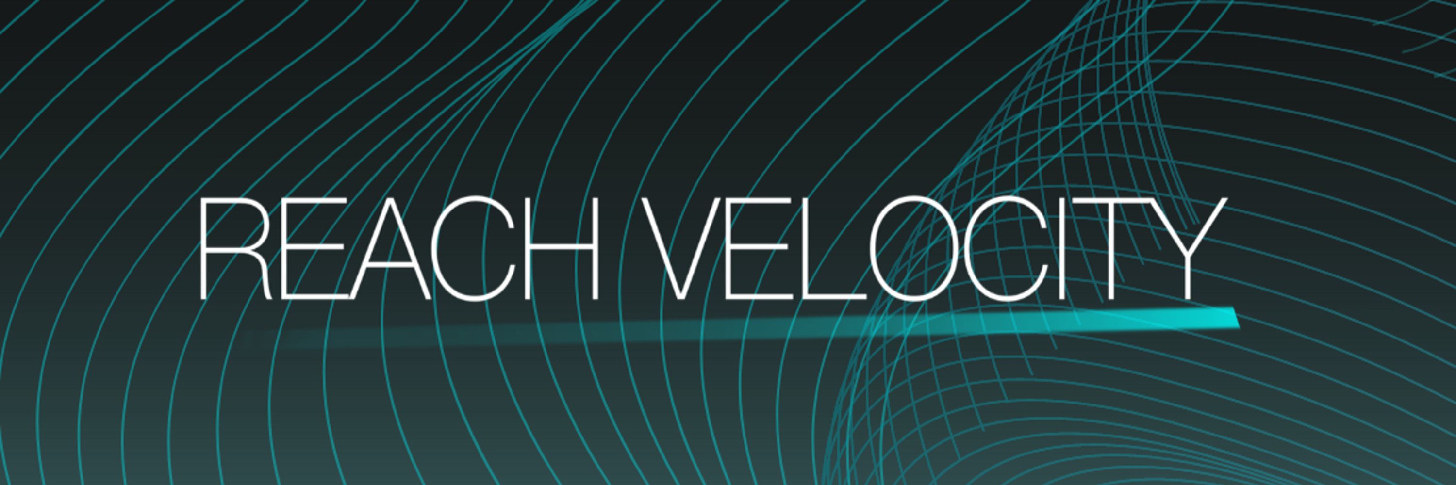 Paul Young / Reach Velocity