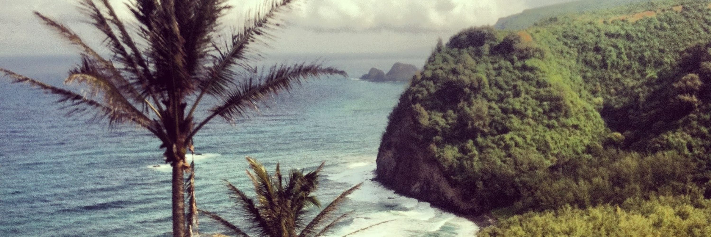 Dana Bach / Eco Akamai ✈️🌴🌅
