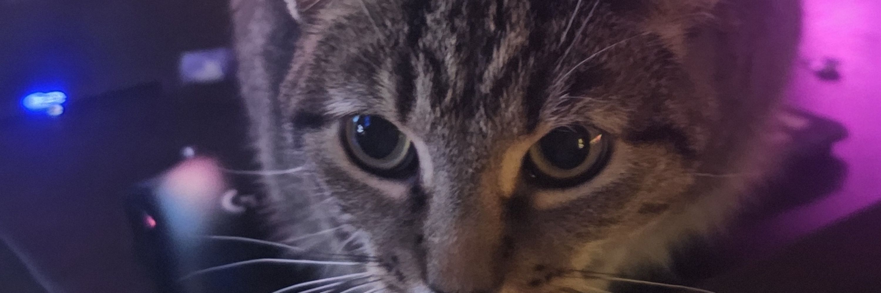 kemi