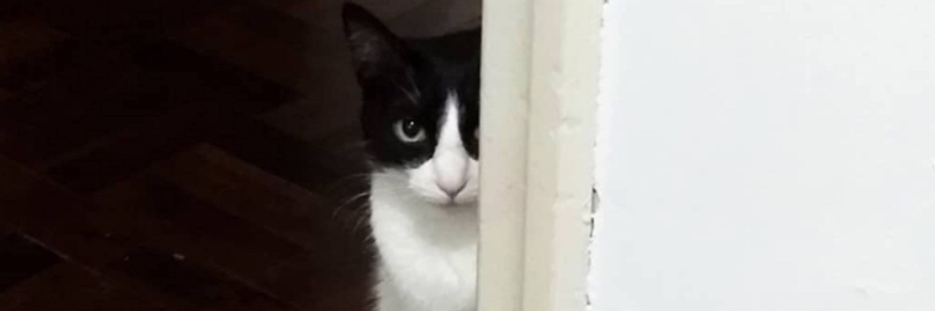 Rob