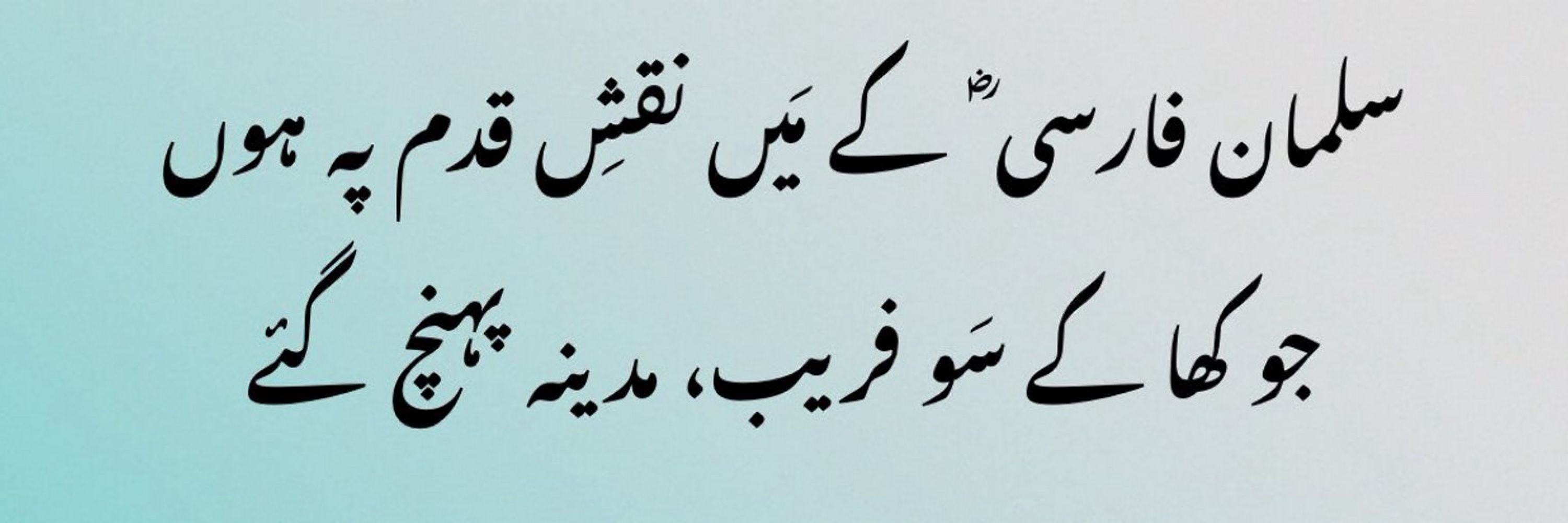 راشد ڈوگر