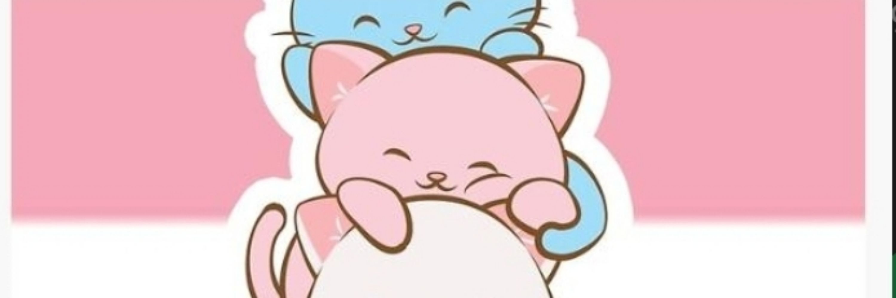 Amigas da Kitty 💞❤️ 🏳️‍⚧️
