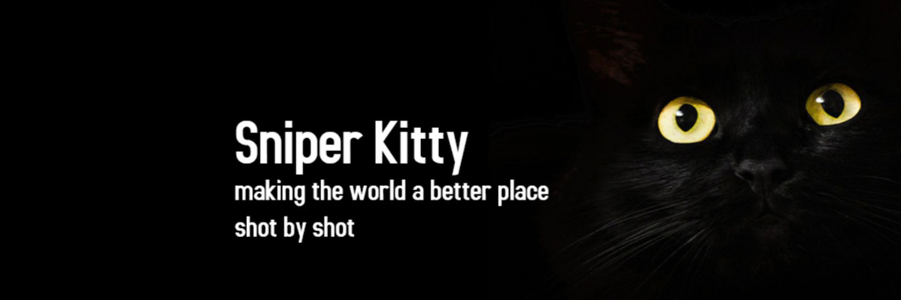 Sniper Kitty 009