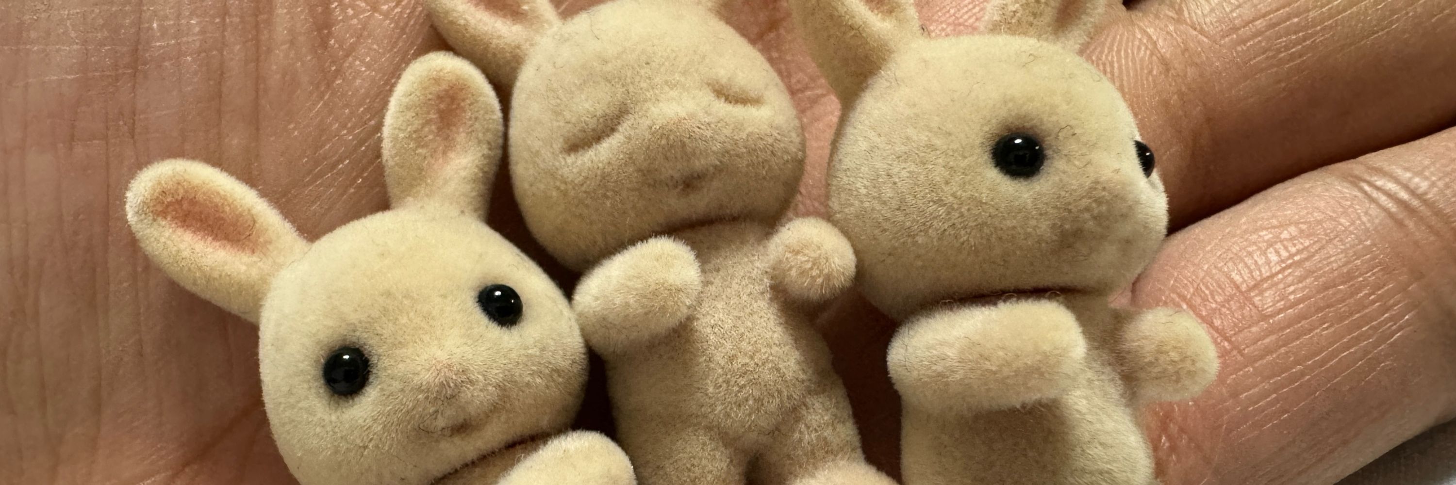まれちゃそ(♡)